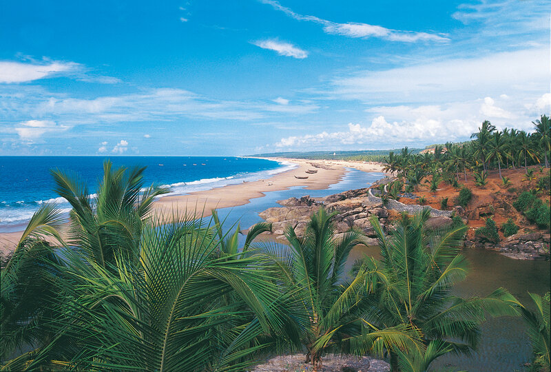 Tropical Beach with Palm Trees — Blue, Serene, Afternoon, Photograph, Ocean, Sand