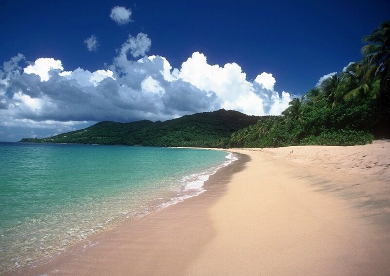 Tropical Beach with Palm Trees — Blue, Serene, Afternoon, Photograph, Ocean