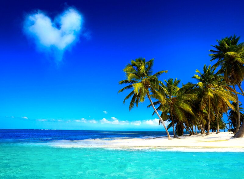 Tropical Beach with Palm Trees — Blue, Serene, Afternoon, Photograph, Palm Trees, Cloud