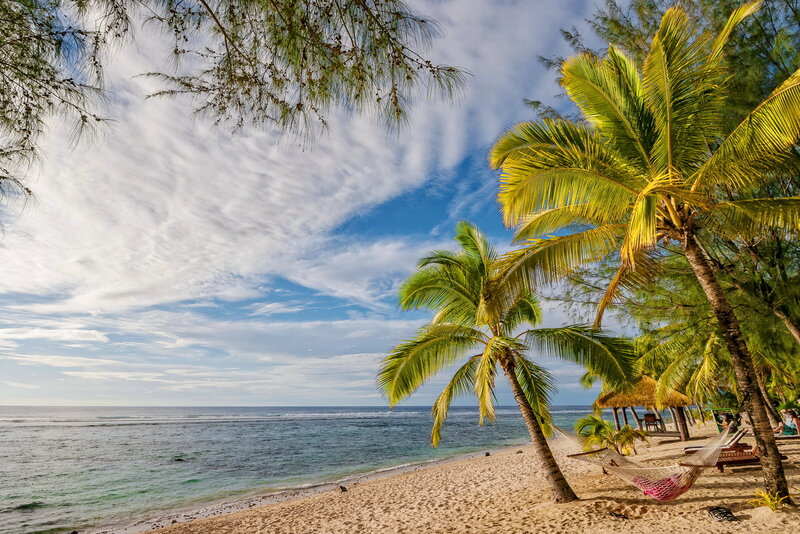 Tropical Beach with Palm Trees — Blue, Serene, Afternoon, Photograph, Palm Trees, Hammock