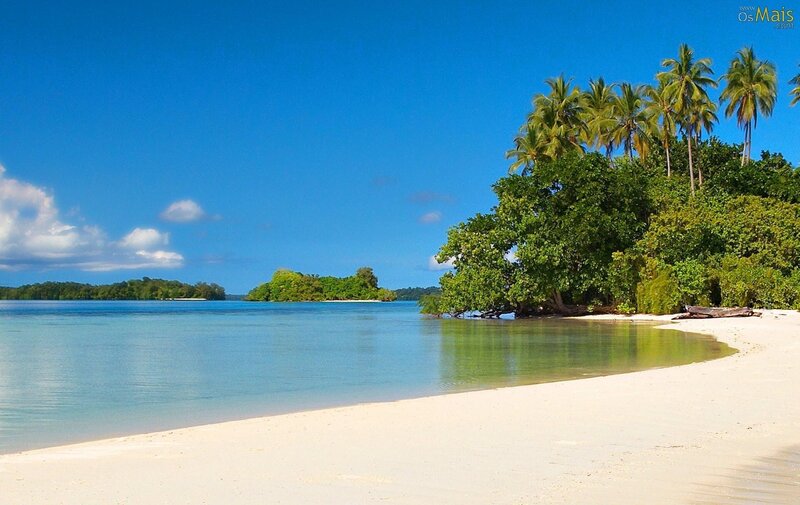Tropical Beach with Palm Trees — Blue, Serene, Afternoon, Photograph, Palm Trees, Island, Sand, Water, White