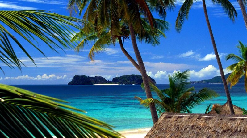 Tropical Beach with Palm Trees — Blue, Serene, Afternoon, Photograph, Palm Trees, Island, Thatched Roof, Green