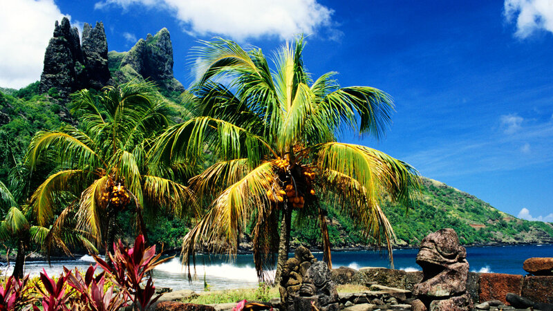 Tropical Beach with Palm Trees — Blue, Serene, Afternoon, Photograph, Palm Trees, Mountains, Ocean