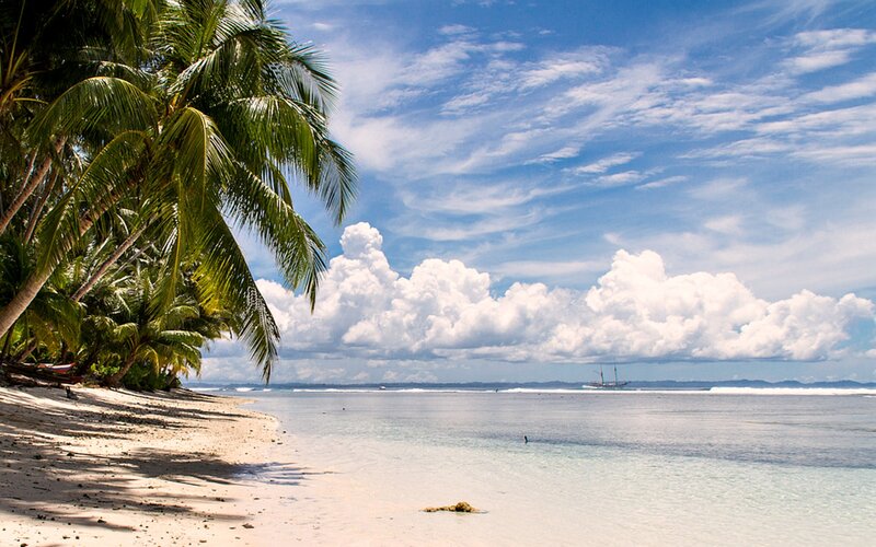 Tropical Beach with Palm Trees — Blue, Serene, Afternoon, Photograph, Palm Trees, Ocean, Clouds