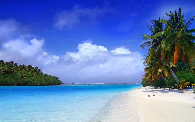 Tropical Beach with Palm Trees — Blue, Serene, Afternoon, Photograph, Palm Trees, Ocean, Island, Clouds, White, Green