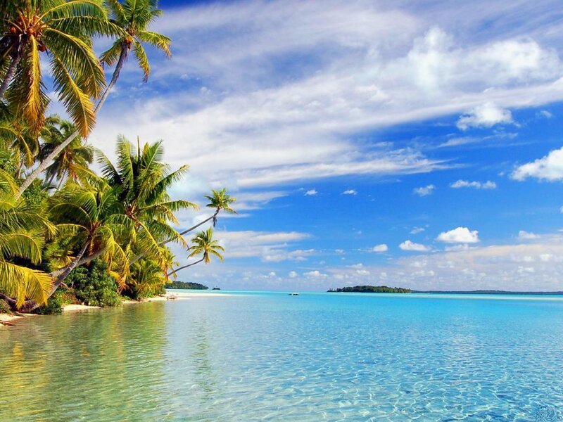 Tropical Beach with Palm Trees — Blue, Serene, Afternoon, Photograph, Palm Trees, Ocean, Island, Sky