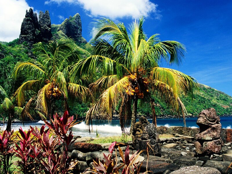 Tropical Beach with Palm Trees — Blue, Serene, Afternoon, Photograph, Palm Trees, Rock Formations