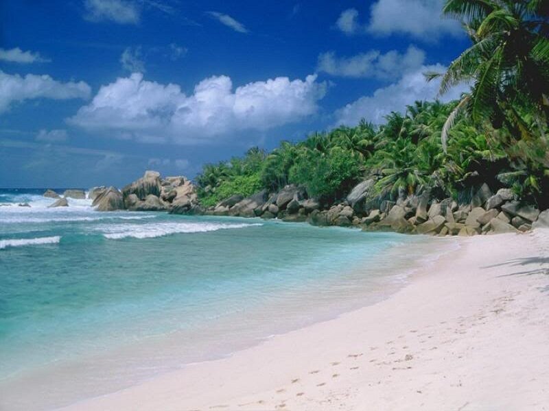 Tropical Beach with Palm Trees — Blue, Serene, Afternoon, Photograph, Palm Trees, Rocks, Ocean
