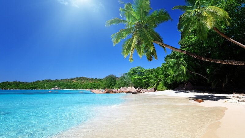 Tropical Beach with Palm Trees — Blue, Serene, Afternoon, Photograph, Palm Trees, Sand, Ocean, Rocks, Green, White