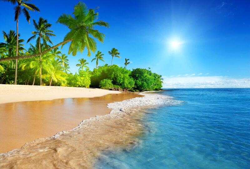 Tropical Beach with Palm Trees — Blue, Serene, Afternoon, Photograph, Palm Trees, Sand, Ocean, Sun