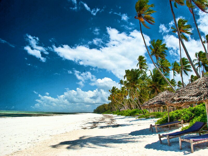 Tropical Beach with Palm Trees — Blue, Serene, Afternoon, Photograph, Palm Trees, Thatched Huts