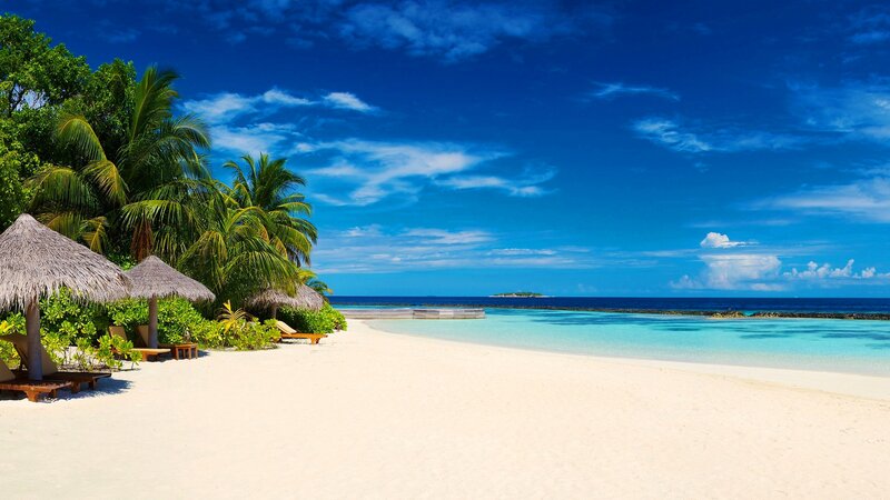 Tropical Beach with Palm Trees — Blue, Serene, Afternoon, Photograph, Palm Trees, Thatched Umbrellas