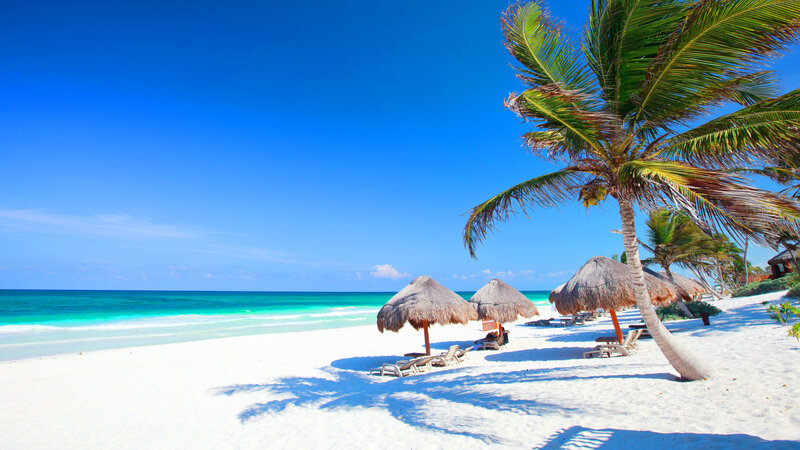 Tropical Beach with Palm Trees — Blue, Serene, Afternoon, Photograph, Palm Trees, Thatched Umbrellas, White Sand, Ocean