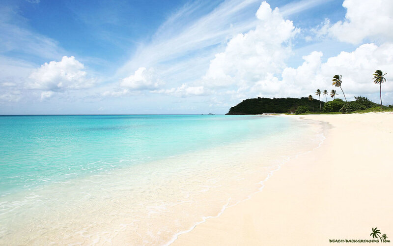 Tropical Beach with Palm Trees — Blue, Serene, Afternoon