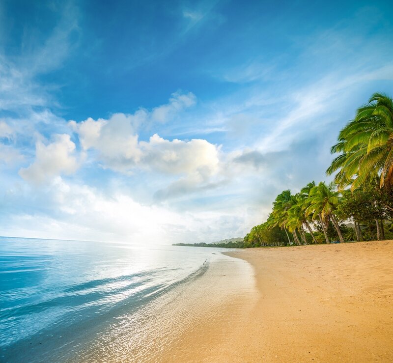 Tropical Beach with Palm Trees — Blue, Serene, Morning, Photograph, Palm Trees