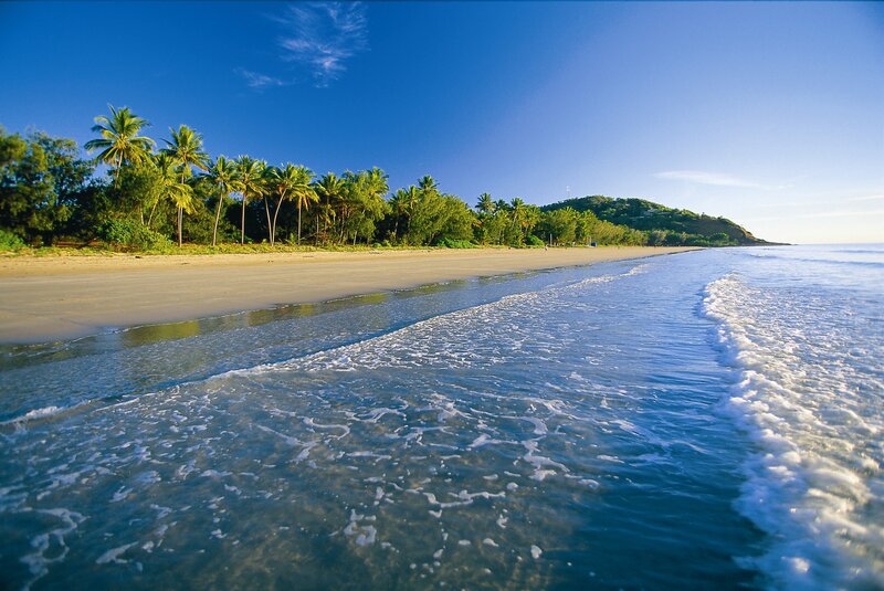 Tropical Beach with Palm Trees — Blue, Serene, Morning, Photograph