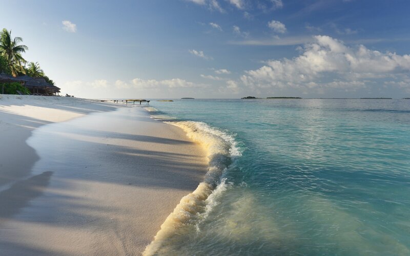 Tropical Beach with Palm Trees — Blue, Serene, Morning