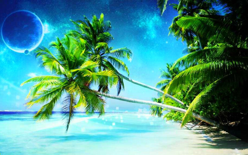 Tropical Beach with Palm Trees — Blue, Serene, Night, Digital Art, Palm Trees, Ocean