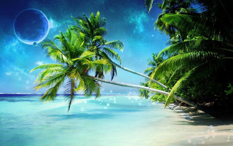 Tropical Beach with Palm Trees — Blue, Serene, Night
