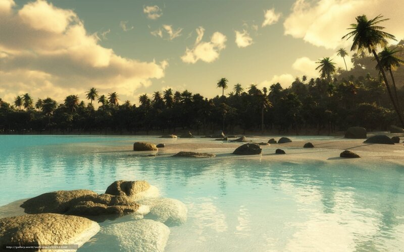 Tropical Beach with Palm Trees — Blue, Serene, Sunset, 3d Render