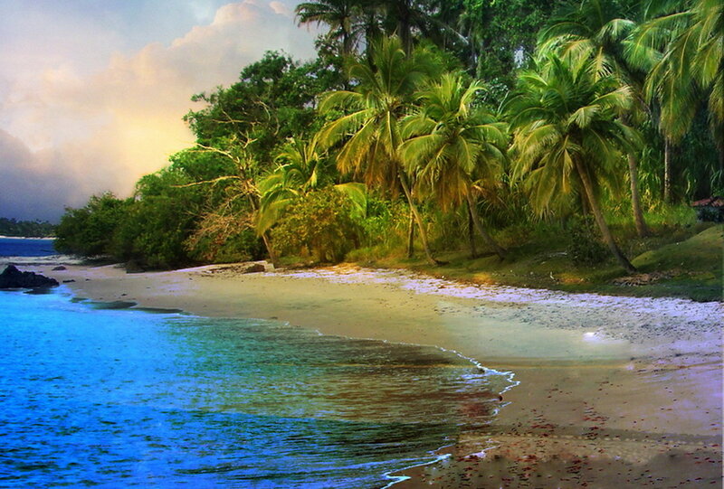 Tropical Beach with Palm Trees — Blue, Serene, Sunset