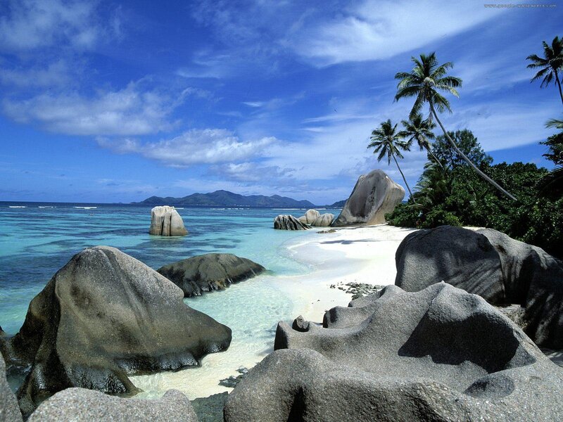 Tropical Beach with Palm Trees — Blue
