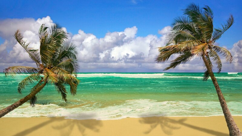 Tropical Beach with Palm Trees — Blue, Yellow