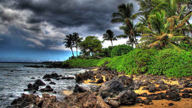 Tropical Beach with Palm Trees — Green, Dramatic