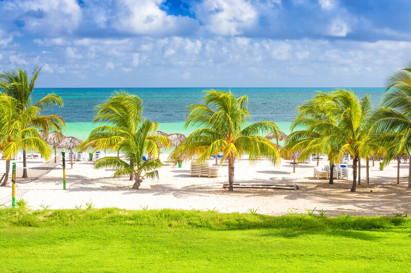 Tropical Beach with Palm Trees — Green, Serene, Afternoon, Photograph, Palm Trees, Beach Chairs
