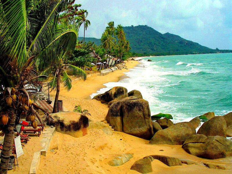 Tropical Beach with Palm Trees — Green, Serene, Afternoon, Photograph