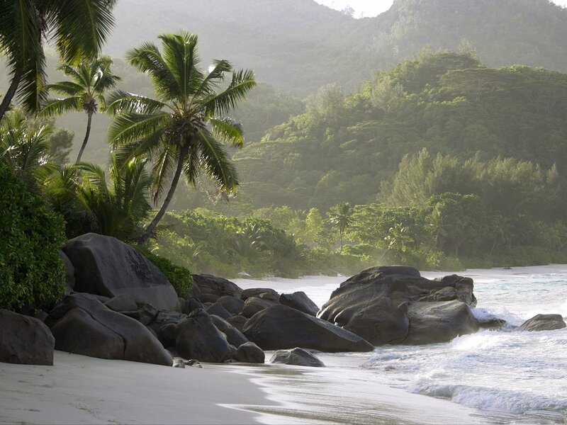 Tropical Beach with Palm Trees — Green, Serene, Morning
