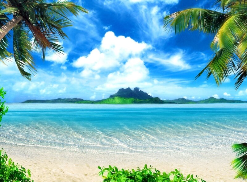 Tropical Beach with Palm Trees — Island, Ocean