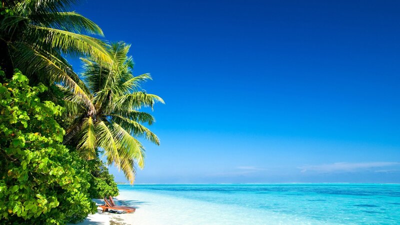 Tropical Beach with Palm Trees — Lounge Chairs