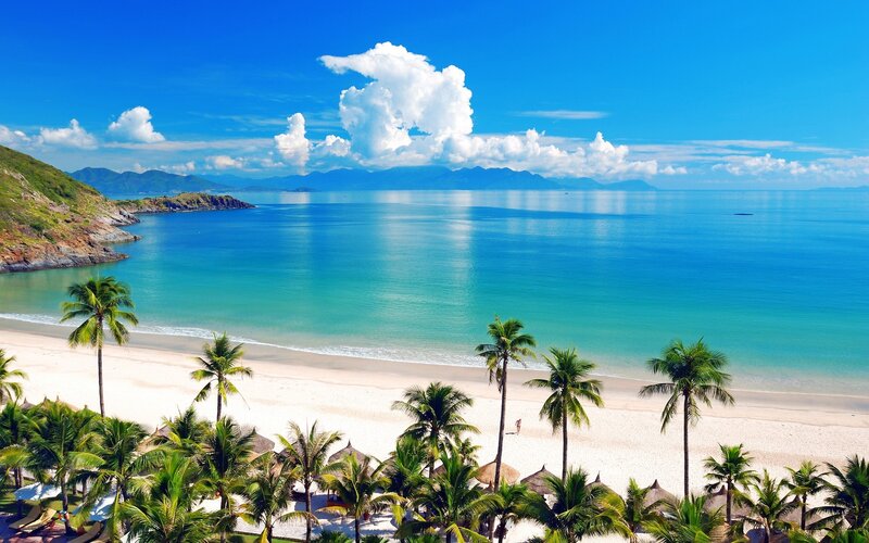 Tropical Beach with Palm Trees — Photograph, Mountains