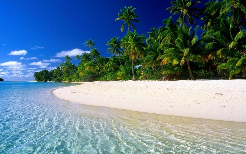 Tropical Beach with Palm Trees — Photograph, Ocean