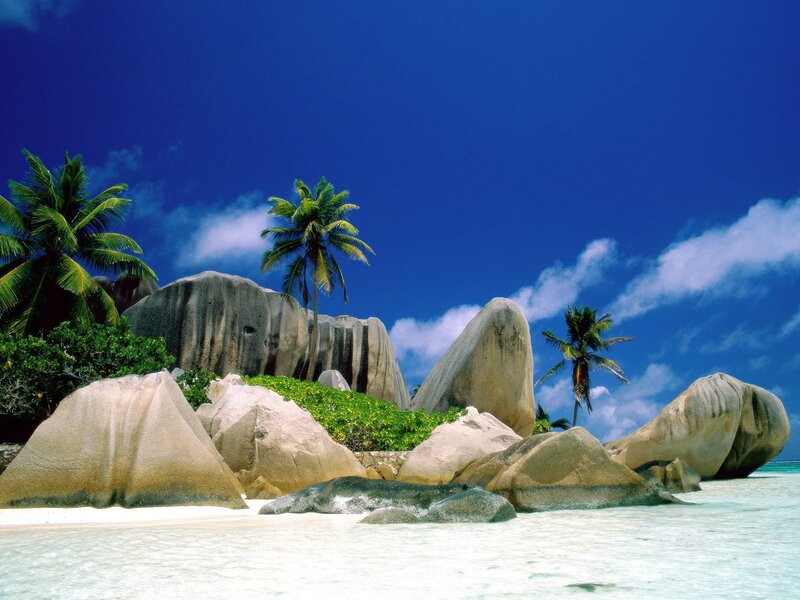 Tropical Beach with Palm Trees — Rocks, Ocean
