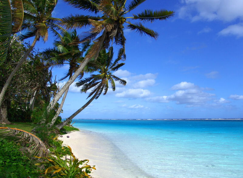Tropical Beach with Palm Trees — Sand, Sky