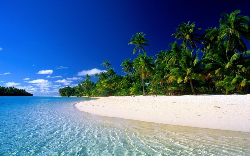 Tropical Beach with Palm Trees — Sky, Green