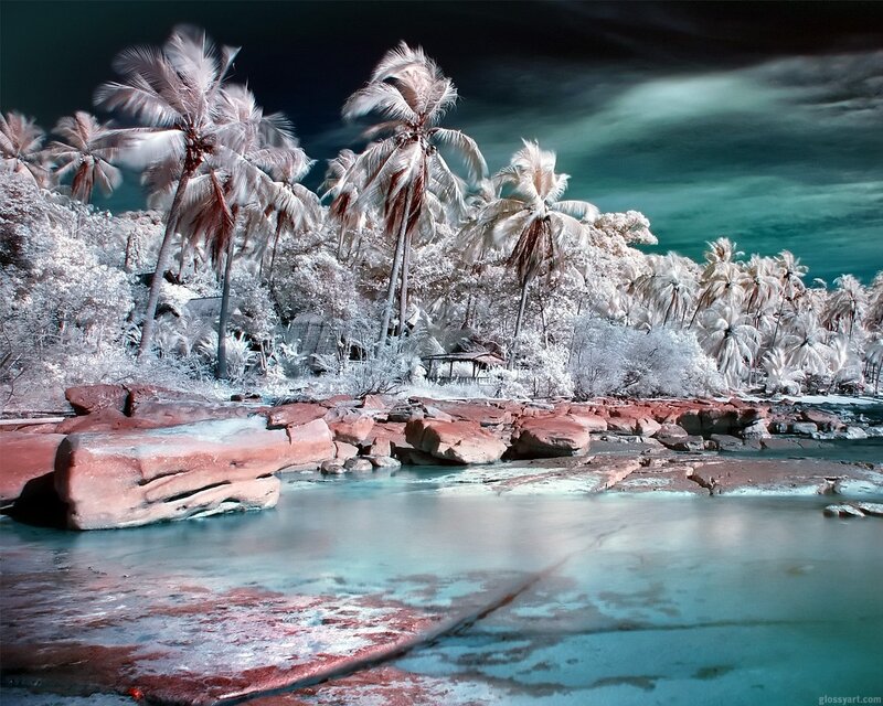 Tropical Beach with Palm Trees — White, Dramatic