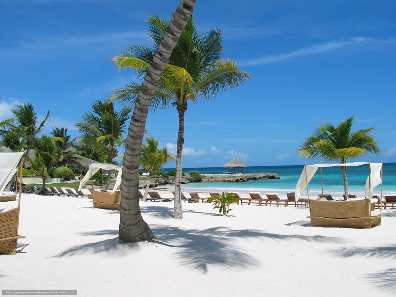 Tropical Beach with Palm Trees — White, Serene, Afternoon, Photograph, Palm Trees, Beach Chairs