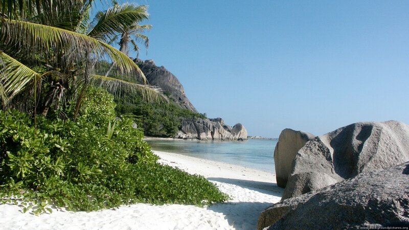 Tropical Beach with Palm Trees — White, Serene, Afternoon, Photograph, Palm Trees, Rocks