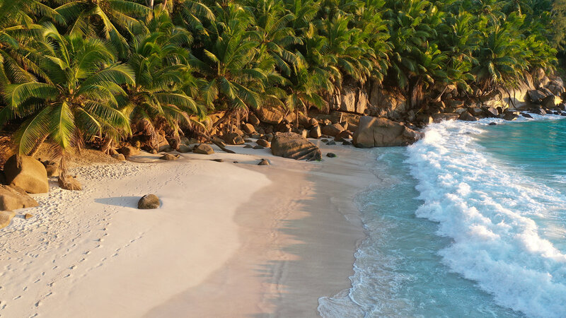 Tropical Beach with Palm Trees — White, Serene, Sunset