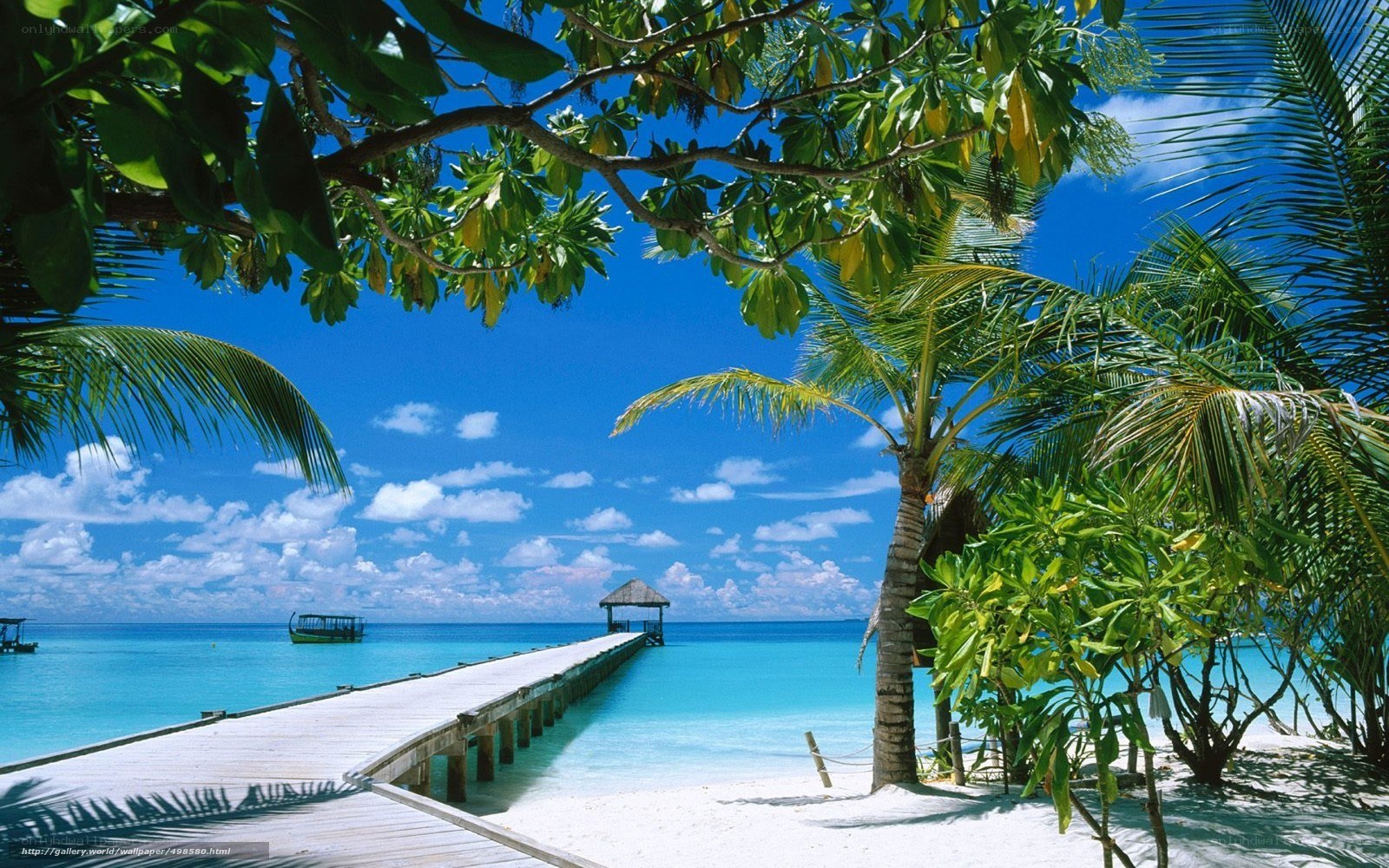 tropical beach with pier