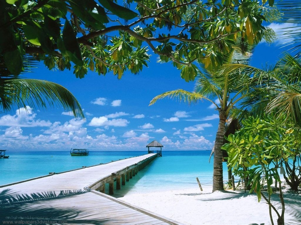 tropical beach with pier