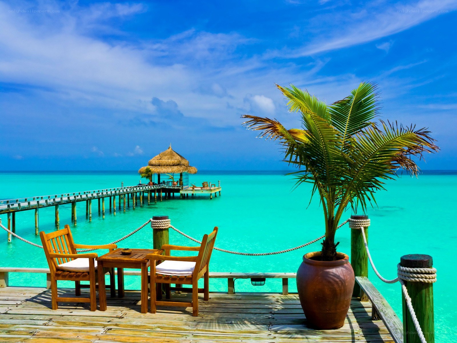 Tropical beach with pier and hut