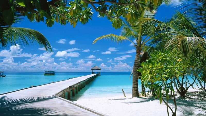 Tropical Beach with Pier — Blue, Serene, Afternoon, Photograph, Palm Tree
