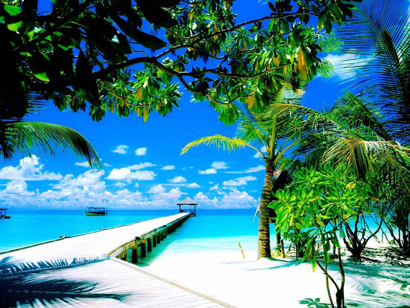 Tropical Beach with Pier — Blue, Serene, Afternoon, Photograph, Palms, Boat