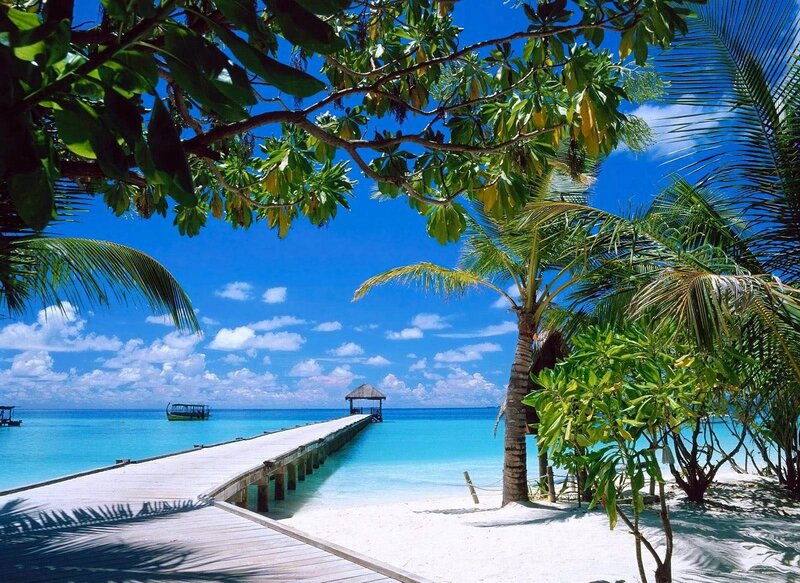 Tropical Beach with Pier — Blue, Serene, Afternoon, Photograph, Palms, Ocean