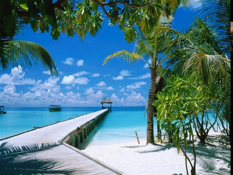 Tropical Beach with Pier — Blue, Serene, Afternoon, Photograph, Palms