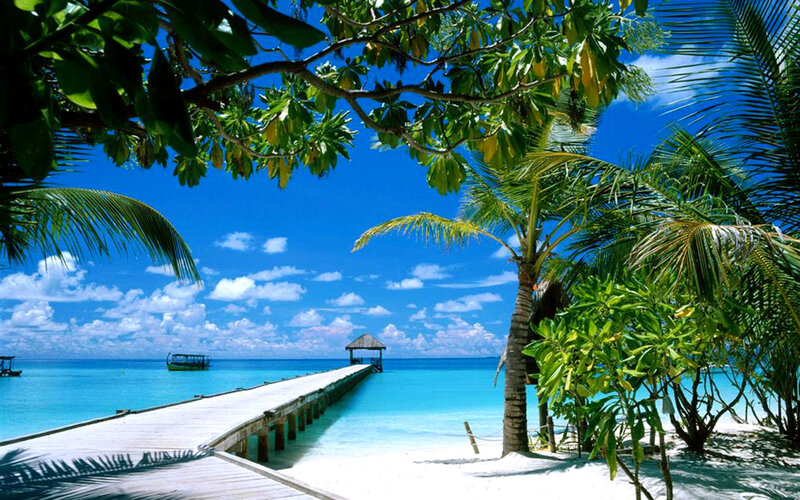 Tropical Beach with Pier — Blue